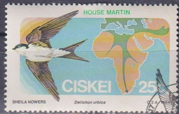 Stamp Thematic Birds