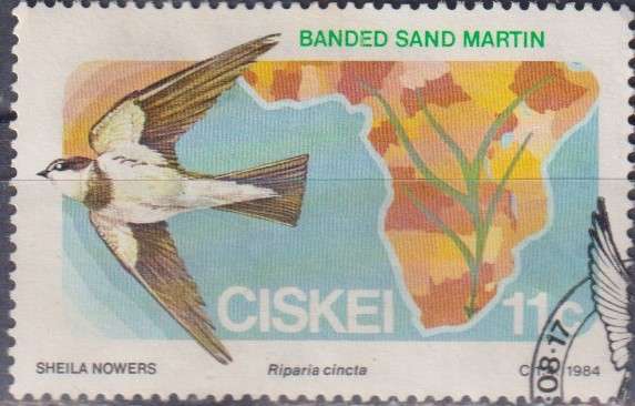 Stamp Thematic Birds