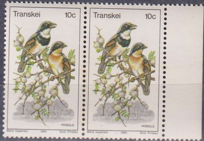 Stamp Thematic Birds