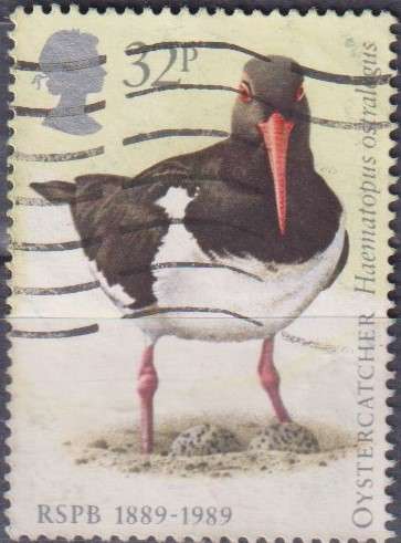 Stamp Thematic Birds