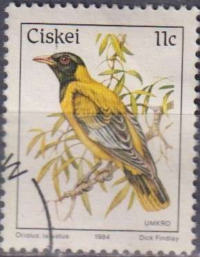 Stamp Thematic Birds