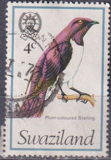 Stamp Thematic Birds