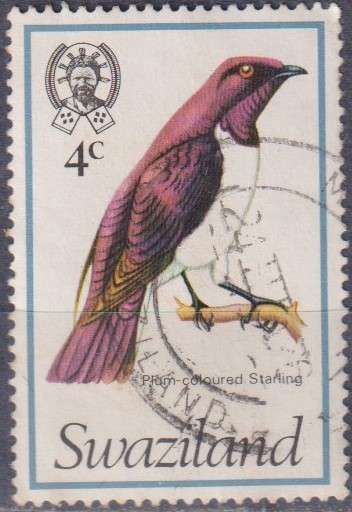 Stamp Thematic Birds