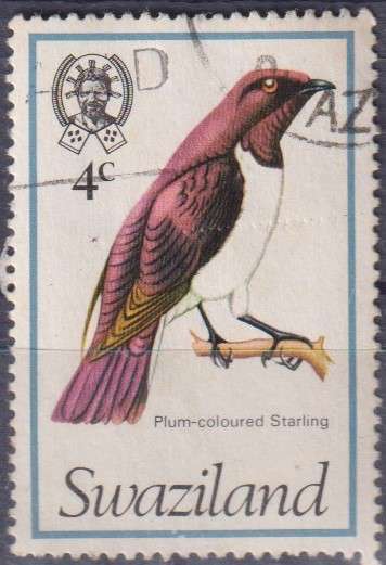Stamp Thematic Birds