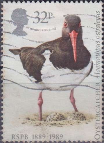 Stamp Thematic Birds