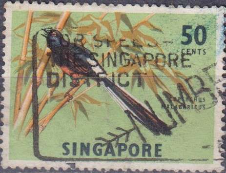 Stamp Thematic Birds