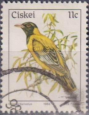 Stamp Thematic Birds