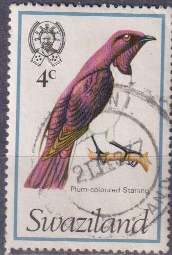 Stamp Thematic Birds
