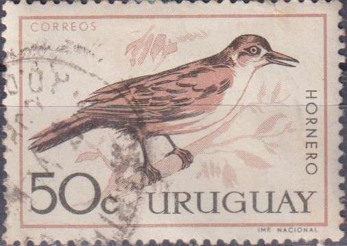 Stamp Thematic Birds