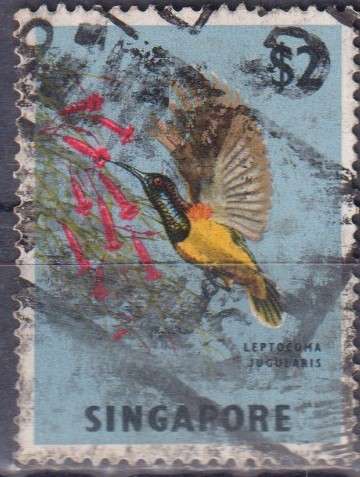 Stamp Thematic Birds