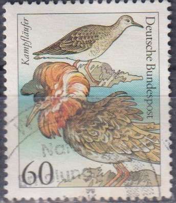Stamp Thematic Birds