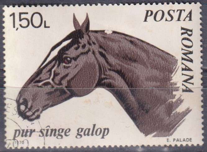 Stamp Thematic Horses