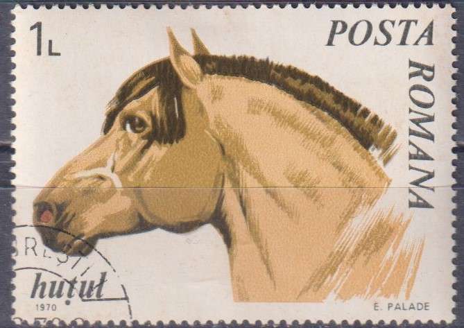 Stamp Thematic Horses