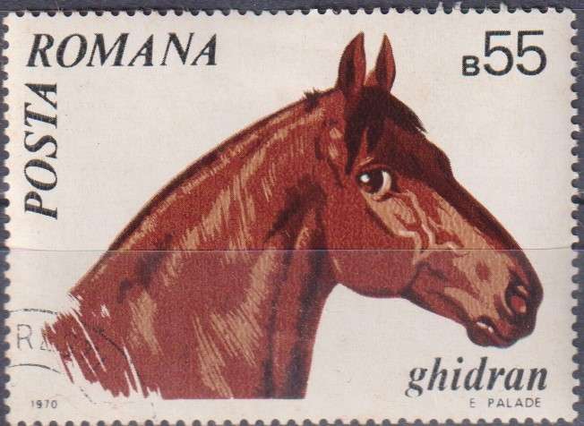 Stamp Thematic Horses