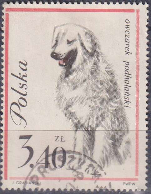Stamp Thematic Dog