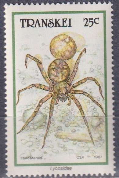 Stamp Thematic Insects