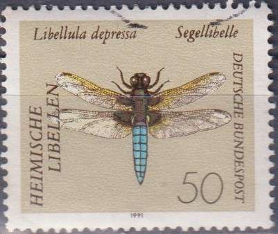 Stamp Thematic Insects