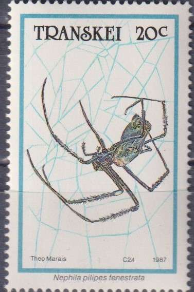 Stamp Thematic Insects