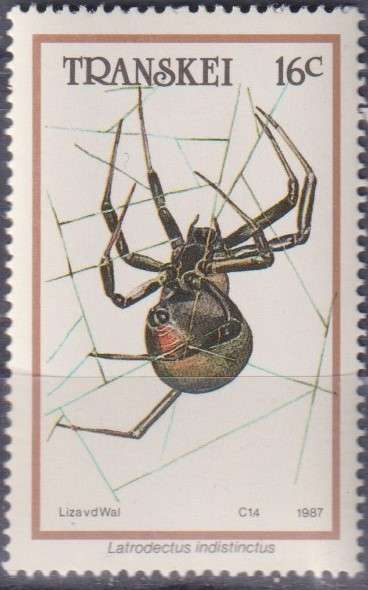 Stamp Thematic Insects