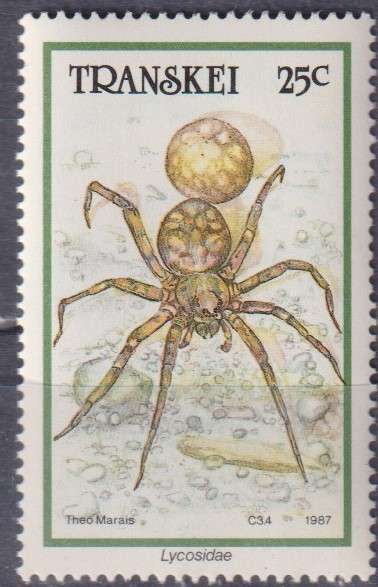 Stamp Thematic Insects
