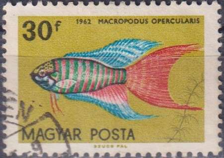 Stamp Thematic Fish