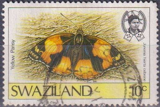 Stamp Thematic Butterfly