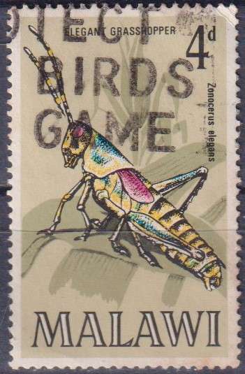 Stamp Thematic Insects