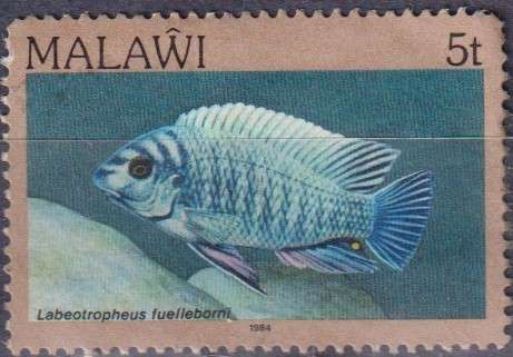 Stamp Thematic Fish