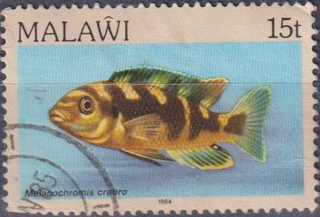 Stamp Thematic Fish