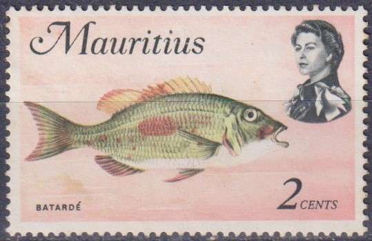 Stamp Thematic Fish