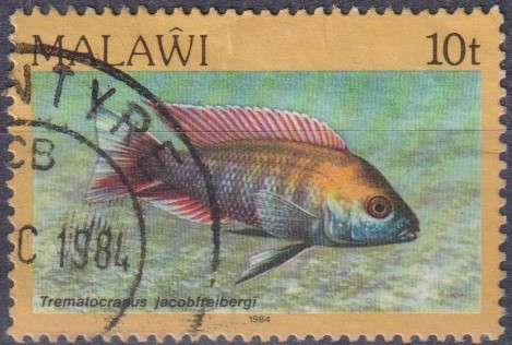 Stamp Thematic Fish