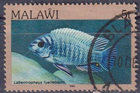 Stamp Thematic Fish