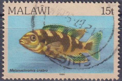 Stamp Thematic Fish