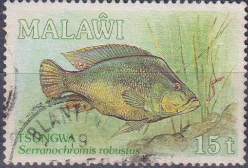 Stamp Thematic Fish