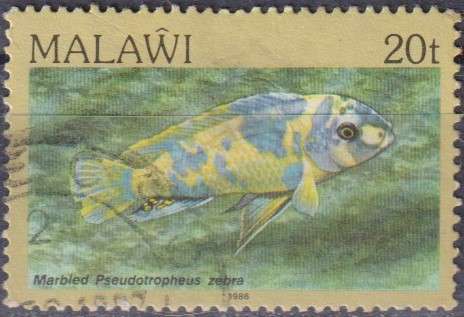 Stamp Thematic Fish
