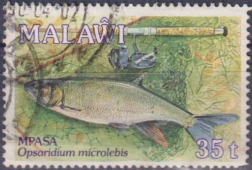 Stamp Thematic Fish