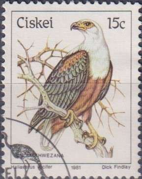 Stamp Thematic Birds