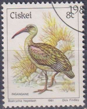 Stamp Thematic Birds