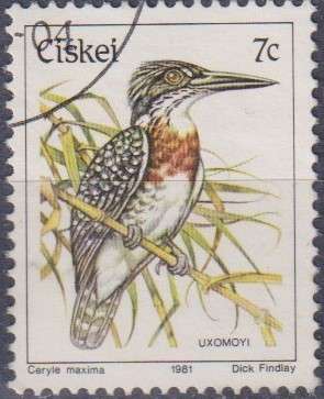Stamp Thematic Birds
