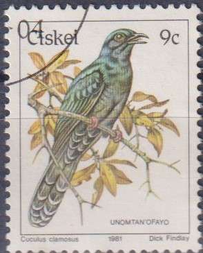 Stamp Thematic Birds