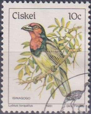 Stamp Thematic Birds