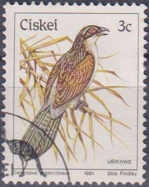 Stamp Thematic Birds
