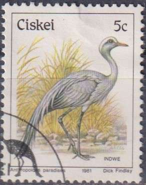 Stamp Thematic Birds