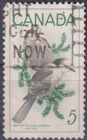 Stamp Thematic Birds