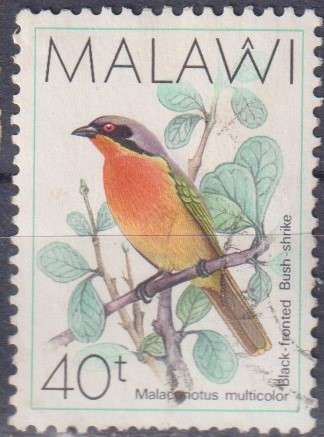 Stamp Thematic Birds