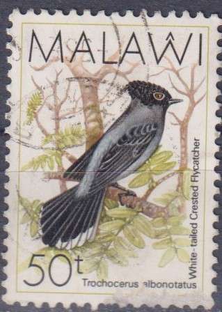 Stamp Thematic Birds