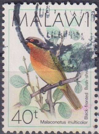 Stamp Thematic Birds