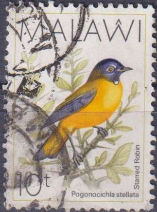 Stamp Thematic Birds