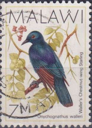 Stamp Thematic Birds