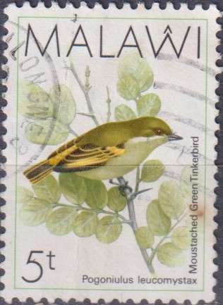 Stamp Thematic Birds